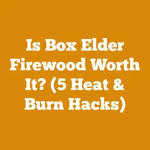 Is Box Elder Firewood Worth It? (5 Heat & Burn Hacks)