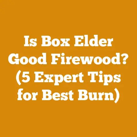 Is Box Elder Good Firewood? (5 Expert Tips for Best Burn)