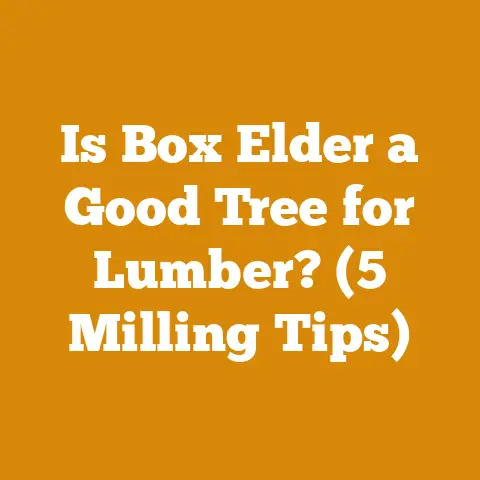Is Box Elder a Good Tree for Lumber? (5 Milling Tips)