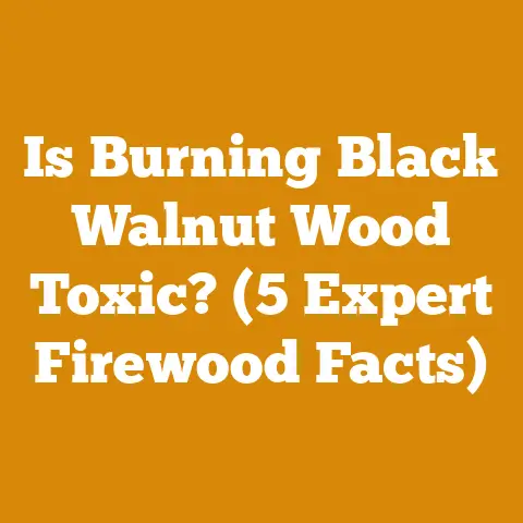 Is Burning Black Walnut Wood Toxic? (5 Expert Firewood Facts)