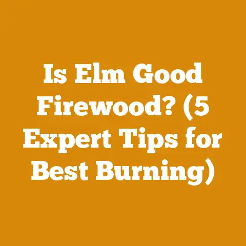 Is Elm Good Firewood? (5 Expert Tips for Best Burning)