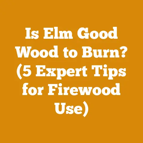 Is Elm Good Wood to Burn? (5 Expert Tips for Firewood Use)