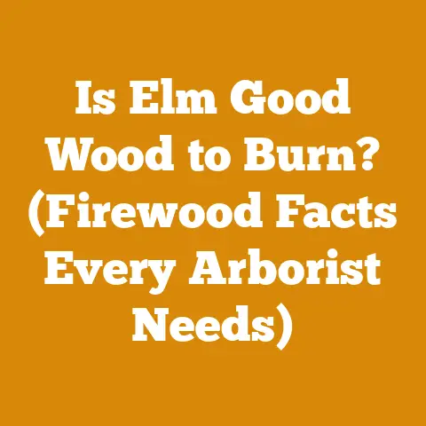 Is Elm Good Wood to Burn? (Firewood Facts Every Arborist Needs)