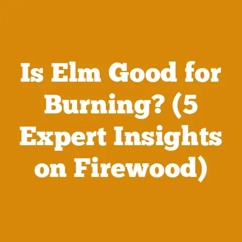 Is Elm Good for Burning? (5 Expert Insights on Firewood)