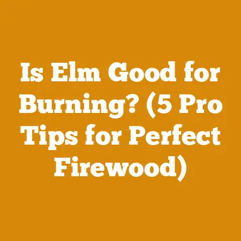 Is Elm Good for Burning? (5 Pro Tips for Perfect Firewood)