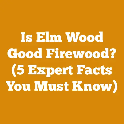Is Elm Wood Good Firewood? (5 Expert Facts You Must Know)