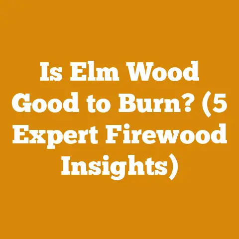 Is Elm Wood Good to Burn? (5 Expert Firewood Insights)