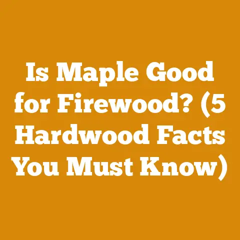 Is Maple Good for Firewood? (5 Hardwood Facts You Must Know)