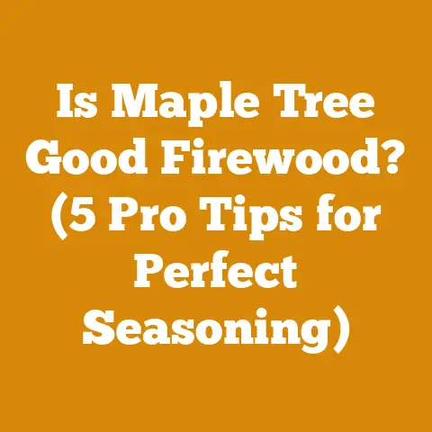 Is Maple Tree Good Firewood? (5 Pro Tips for Perfect Seasoning)