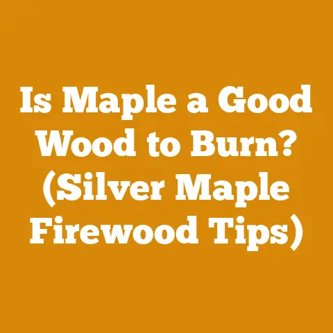 Is Maple a Good Wood to Burn? (Silver Maple Firewood Tips)