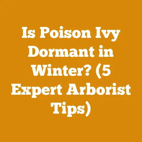 Is Poison Ivy Dormant in Winter? (5 Expert Arborist Tips)