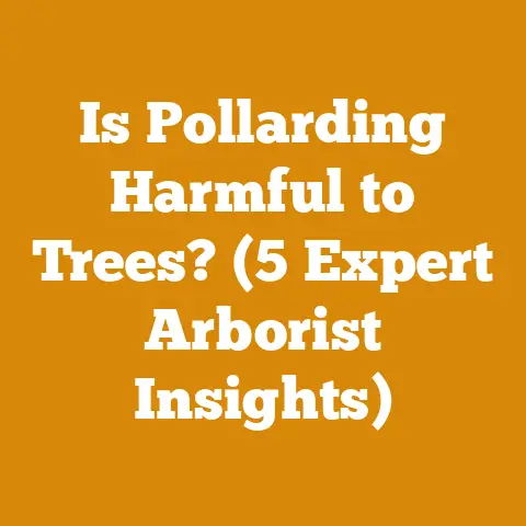 Is Pollarding Harmful to Trees? (5 Expert Arborist Insights)