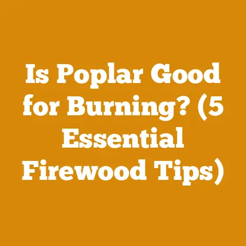 Is Poplar Good for Burning? (5 Essential Firewood Tips)
