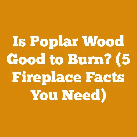 Is Poplar Wood Good to Burn? (5 Fireplace Facts You Need)