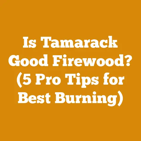Is Tamarack Good Firewood? (5 Pro Tips for Best Burning)