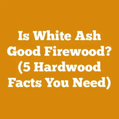 Is White Ash Good Firewood? (5 Hardwood Facts You Need)