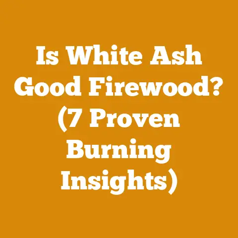 Is White Ash Good Firewood? (7 Proven Burning Insights)