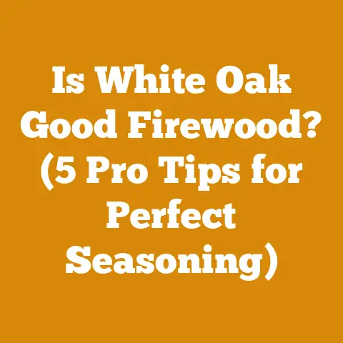Is White Oak Good Firewood? (5 Pro Tips for Perfect Seasoning)