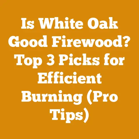 Is White Oak Good Firewood? Top 3 Picks for Efficient Burning (Pro Tips)