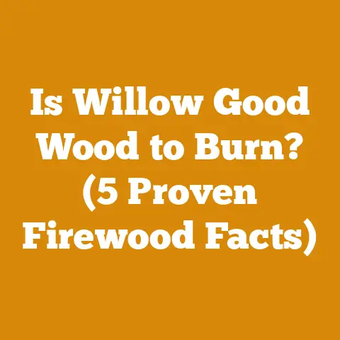 Is Willow Good Wood to Burn? (5 Proven Firewood Facts)