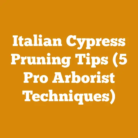 Italian Cypress Pruning Tips (5 Pro Arborist Techniques)