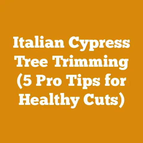 Italian Cypress Tree Trimming (5 Pro Tips for Healthy Cuts)