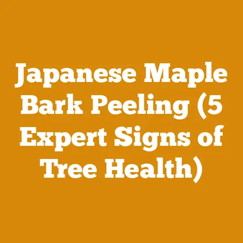 Japanese Maple Bark Peeling (5 Expert Signs of Tree Health)