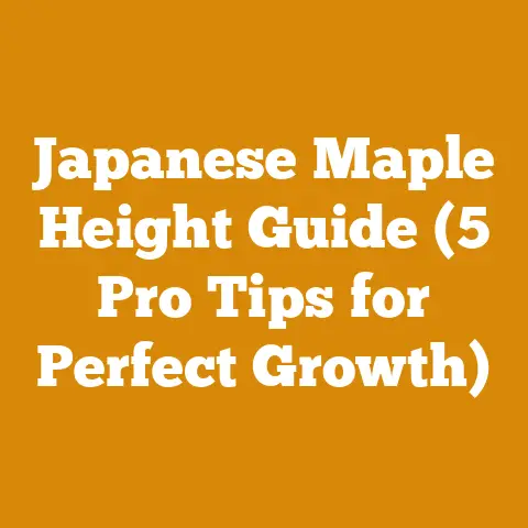 Japanese Maple Height Guide (5 Pro Tips for Perfect Growth)