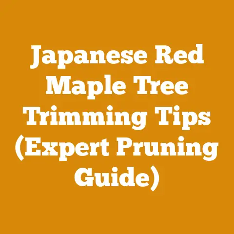 Japanese Red Maple Tree Trimming Tips (Expert Pruning Guide)