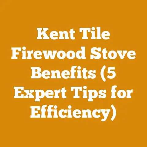 Kent Tile Firewood Stove Benefits (5 Expert Tips for Efficiency)