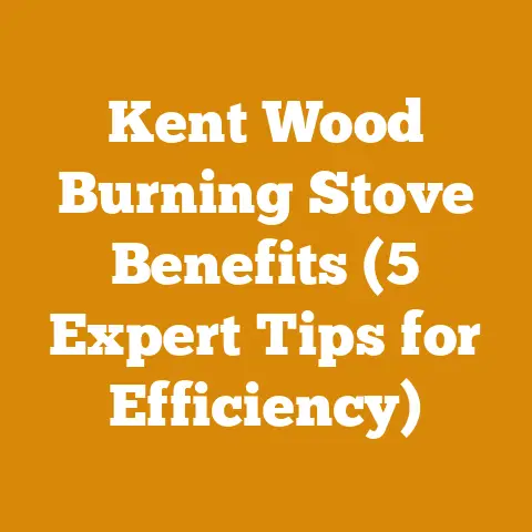 Kent Wood Burning Stove Benefits (5 Expert Tips for Efficiency)