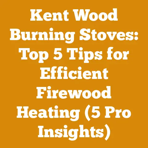 Kent Wood Burning Stoves: Top 5 Tips for Efficient Firewood Heating (5 Pro Insights)