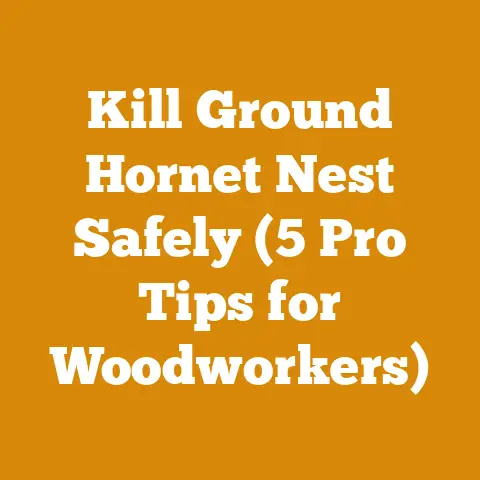 Kill Ground Hornet Nest Safely (5 Pro Tips for Woodworkers)