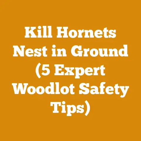 Kill Hornets Nest in Ground (5 Expert Woodlot Safety Tips)
