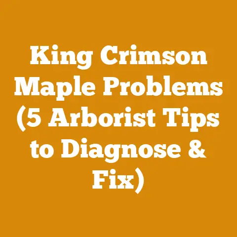 King Crimson Maple Problems (5 Arborist Tips to Diagnose & Fix)