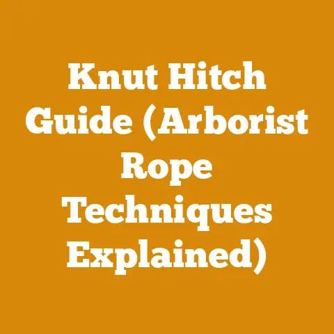 Knut Hitch Guide (Arborist Rope Techniques Explained)
