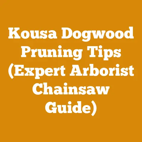 Kousa Dogwood Pruning Tips (Expert Arborist Chainsaw Guide)
