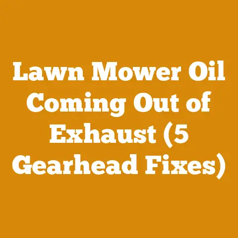 Lawn Mower Oil Coming Out of Exhaust (5 Gearhead Fixes)
