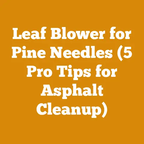 Leaf Blower for Pine Needles (5 Pro Tips for Asphalt Cleanup)