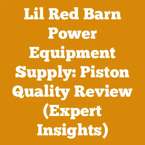 Lil Red Barn Power Equipment Supply: Piston Quality Review (Expert Insights)