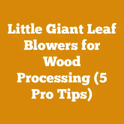 Little Giant Leaf Blowers for Wood Processing (5 Pro Tips)
