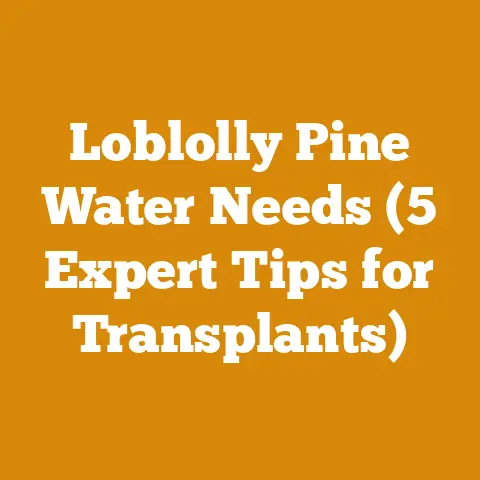 Loblolly Pine Water Needs (5 Expert Tips for Transplants)