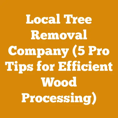 Local Tree Removal Company (5 Pro Tips for Efficient Wood Processing)