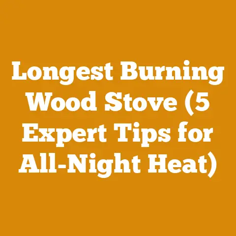Longest Burning Wood Stove (5 Expert Tips for All-Night Heat)