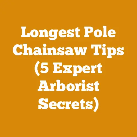 Longest Pole Chainsaw Tips (5 Expert Arborist Secrets)