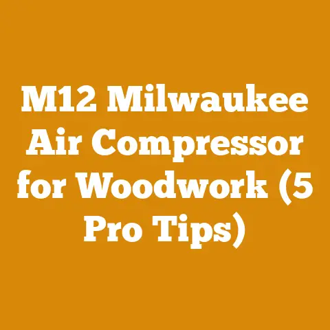 M12 Milwaukee Air Compressor for Woodwork (5 Pro Tips)