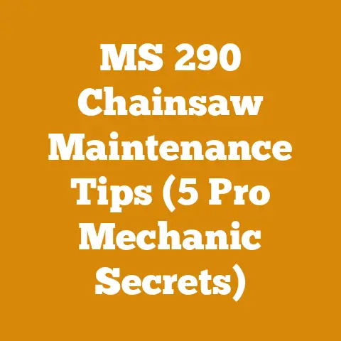 MS 290 Chainsaw Maintenance Tips (5 Pro Mechanic Secrets)