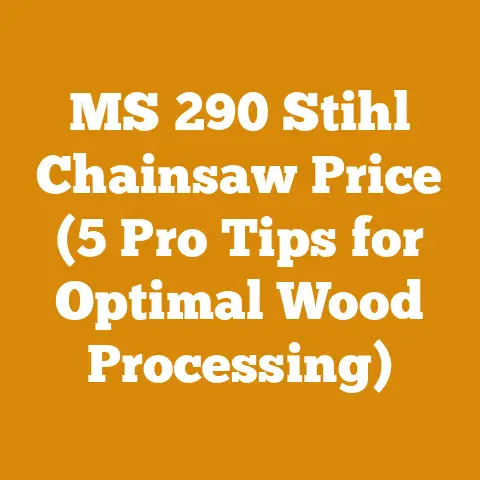 MS 290 Stihl Chainsaw Price (5 Pro Tips for Optimal Wood Processing)