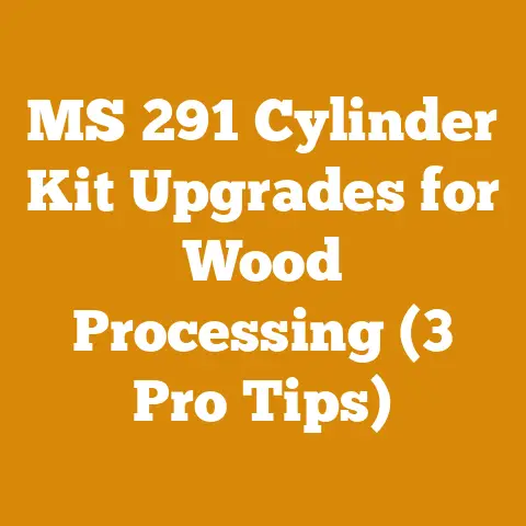 MS 291 Cylinder Kit Upgrades for Wood Processing (3 Pro Tips)
