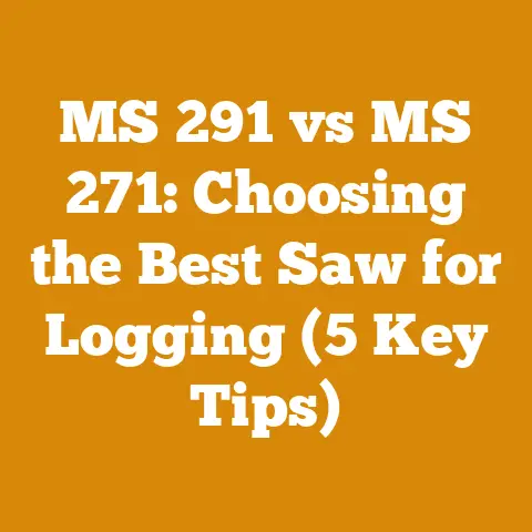 MS 291 vs MS 271: Choosing the Best Saw for Logging (5 Key Tips)